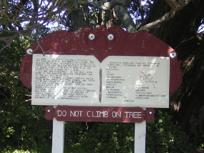 Der grte Pukuketawa Tree